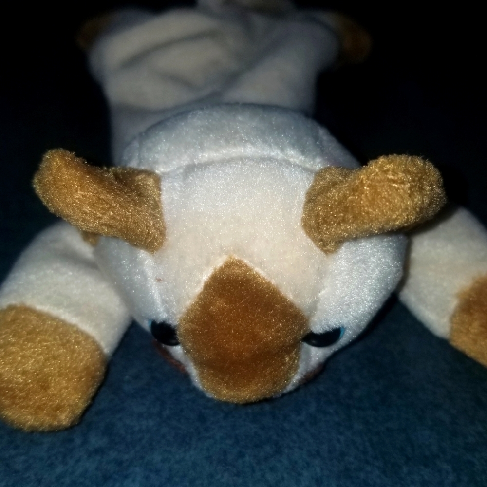 1996 Ty Beanie Baby Snip the Cat